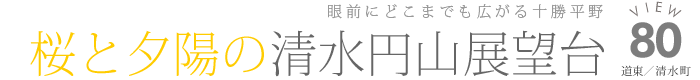 桜と夕陽の清水円山展望台